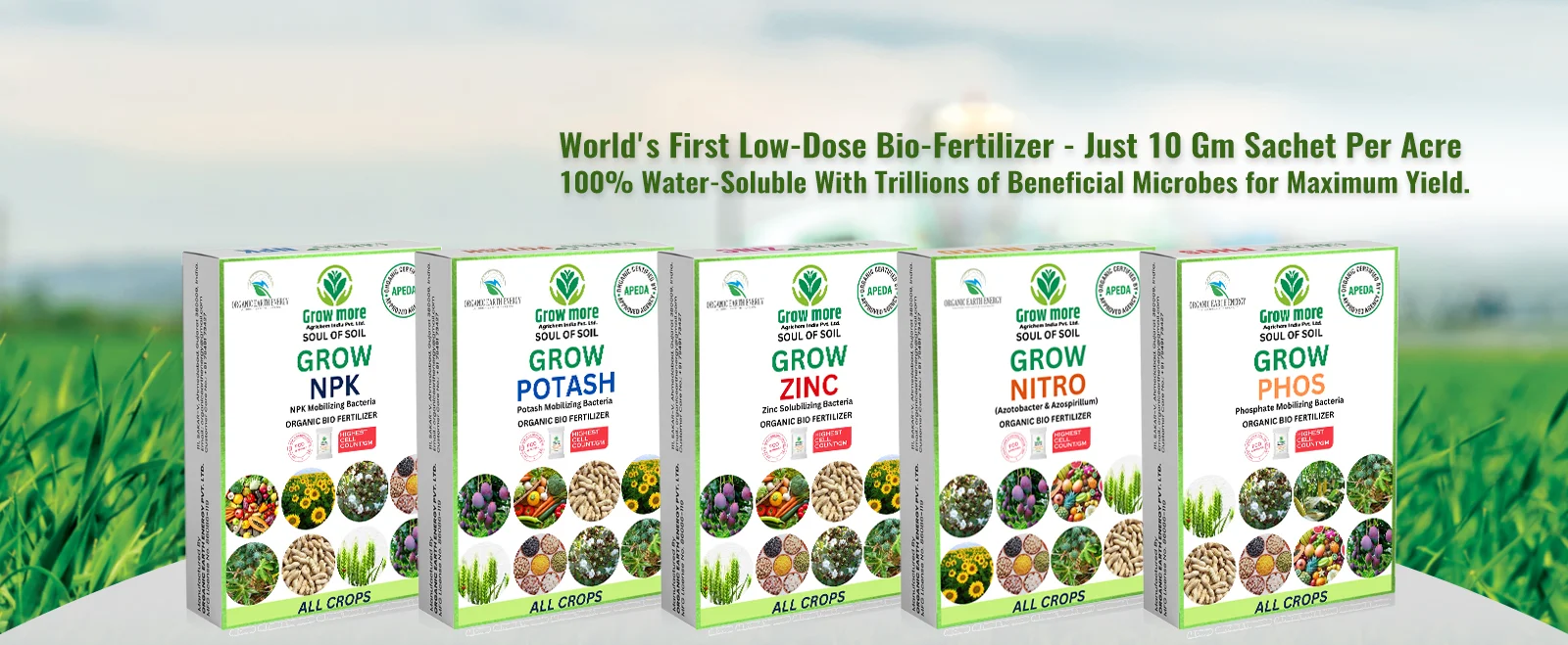 organic bio fertilizer manufacturer
